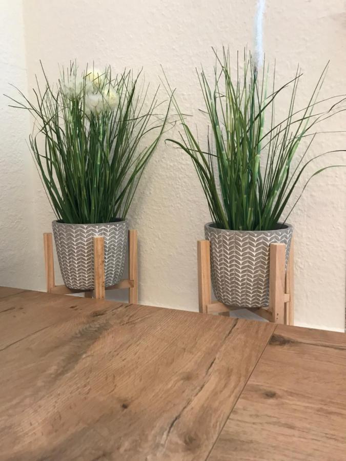 Ferienwohnung Schroeder Leipzig Exteriör bild